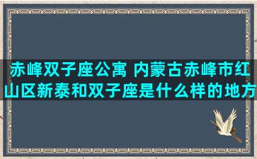 赤峰双子座公寓 内蒙古赤峰市红山区新泰和双子座是什么样的地方